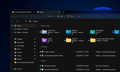 explorador de archivos para Windows 11