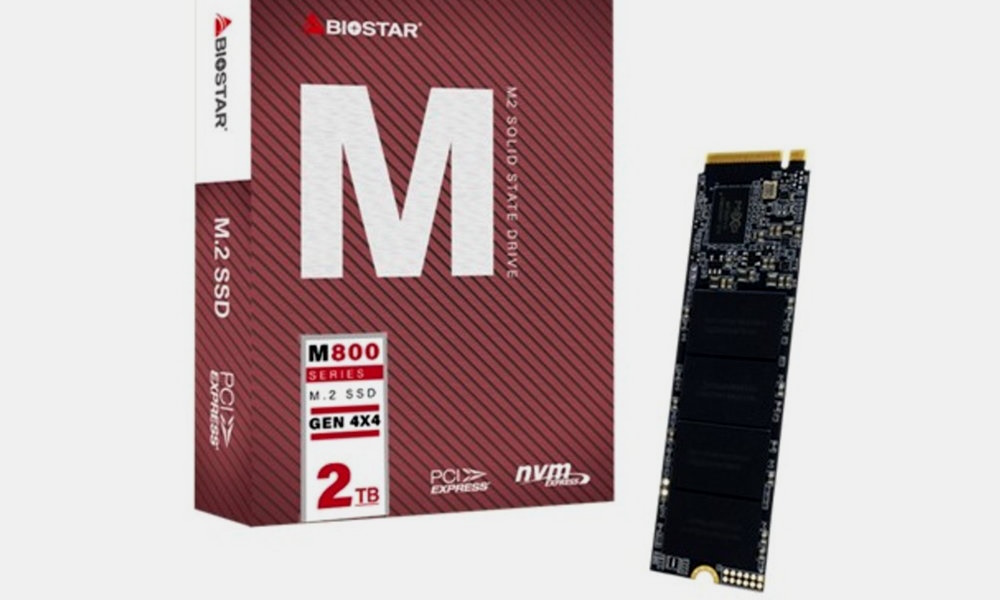 BIOSTAR M800