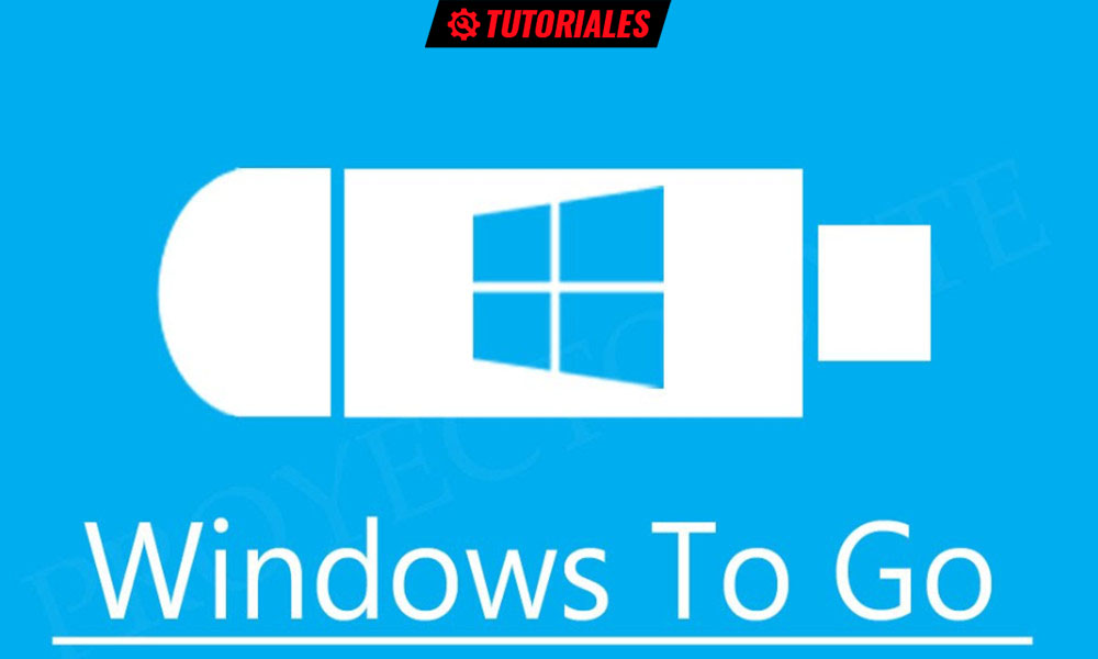 Windows para llevar