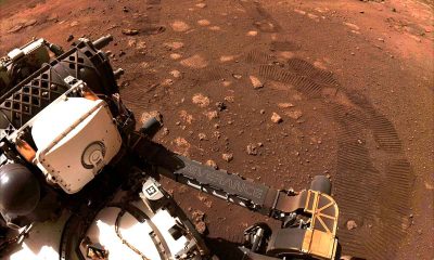Perseverace encuentra posibles señales de vida pasada en Marte